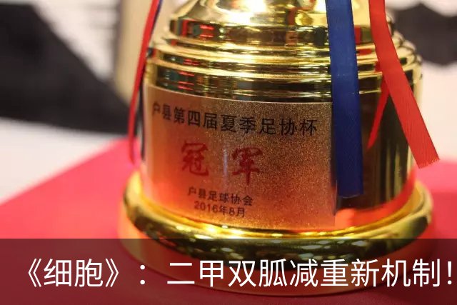 《细胞》：二甲双胍减重新机制！斯坦福团队首次发现，肠道转运蛋白MCT6是关键所在