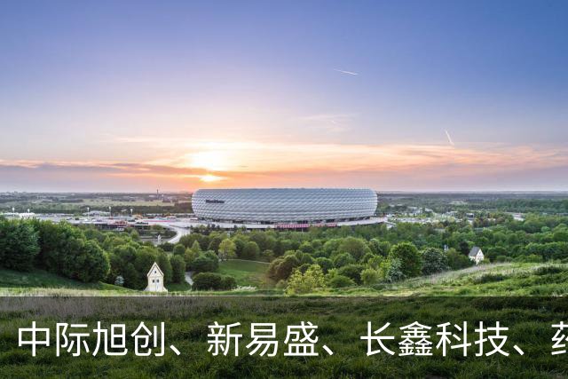 中际旭创、新易盛、长鑫科技、药明康德集体被增持，机构：当前A股不宜过度悲观