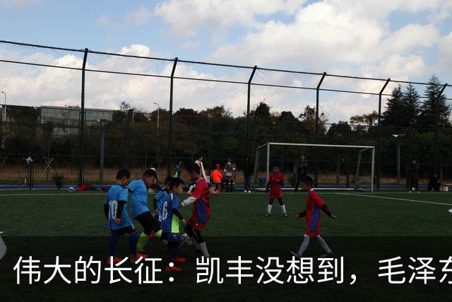 伟大的长征：凯丰没想到，毛泽东在苟坝会上被撤职后居然做了这事
