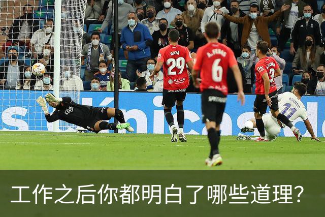工作之后你都明白了哪些道理？