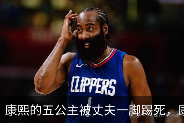 康熙的五公主被丈夫一脚踢死，康熙得知后，报复手段实在毒辣