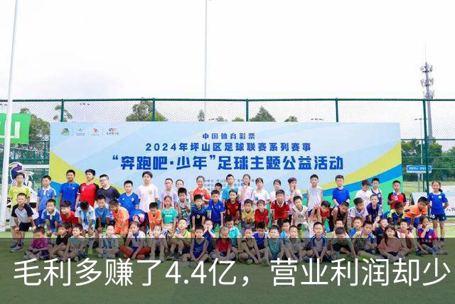 毛利多赚了4.4亿，营业利润却少了9亿：特斯拉的钱去哪了？