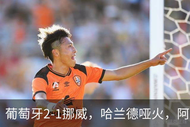 葡萄牙2-1挪威，哈兰德哑火，阿耶、坎塞洛飙世界波，贡萨洛一剑封喉