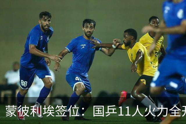 蒙彼利埃签位：国乒11人火力全开，孙颖莎王曼昱林诗栋收复失地