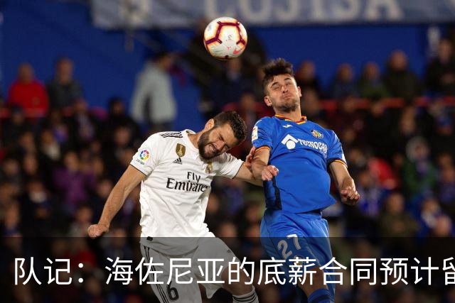 队记：海佐尼亚的底薪合同预计留至11月15日，随后转为全额保障