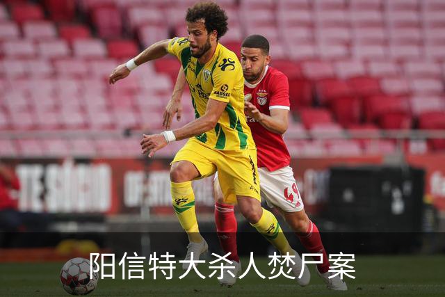 阳信特大杀人焚尸案