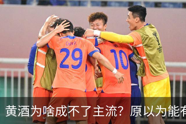 黄酒为啥成不了主流？原以为能有共鸣，谁料评论一边倒